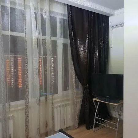 южная пальмира *